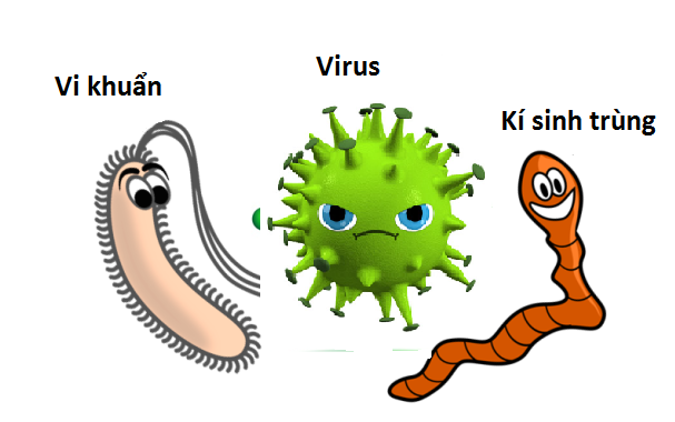 Viêm đại tràng do vi khuẩn, virus, ký sinh trùng