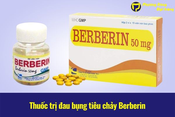 Thuốc đau bụng tiêu chảy berberin