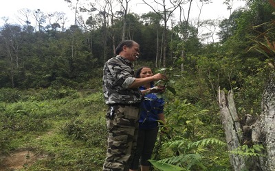 Cây ngải tiên cứu tinh cho người bị viêm đại tràng Cây ngải tiên cứu tinh cho người bị viêm đại tràng